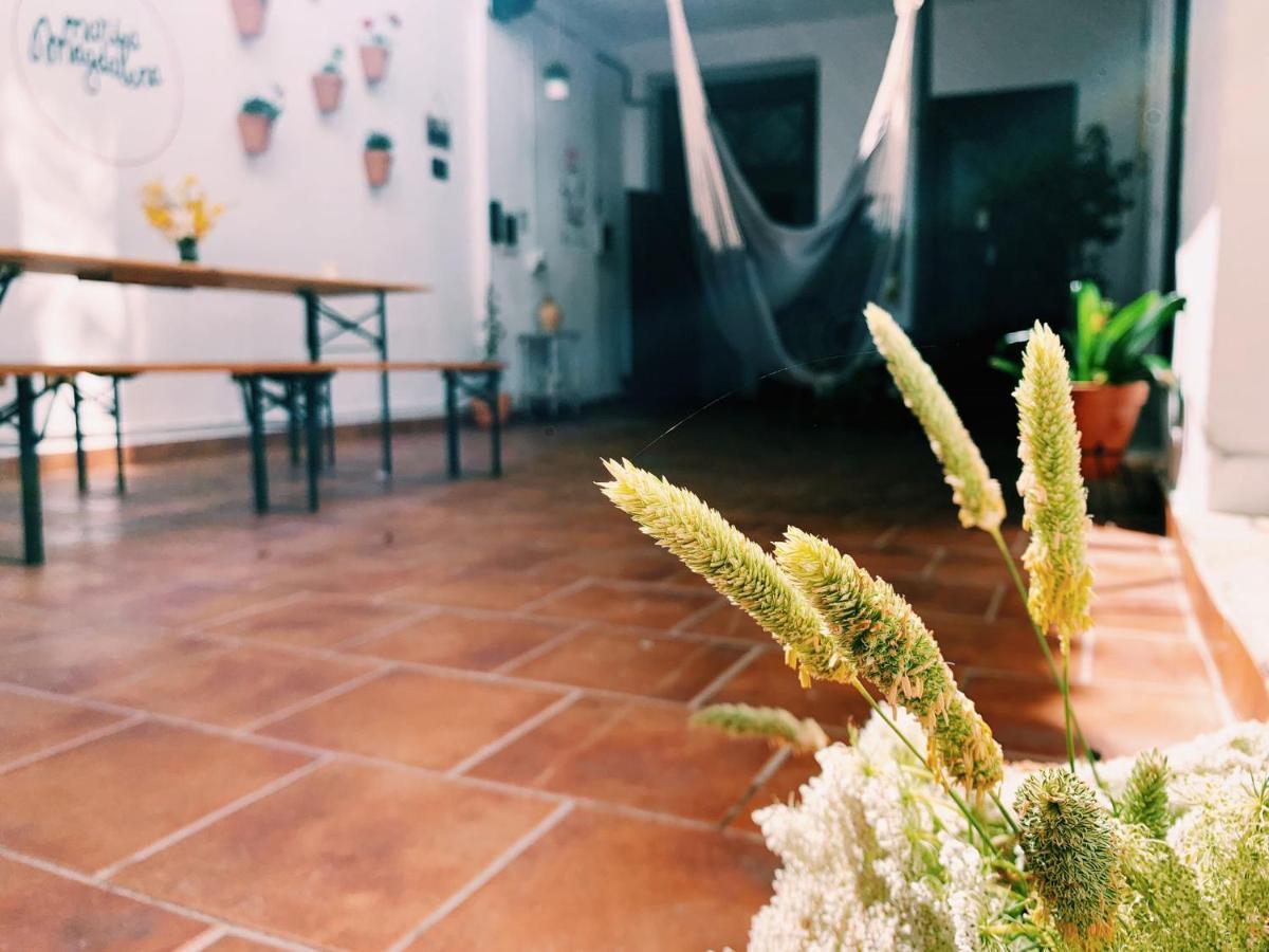 Maria Magdalena - Room 8 Малага Екстер'єр фото